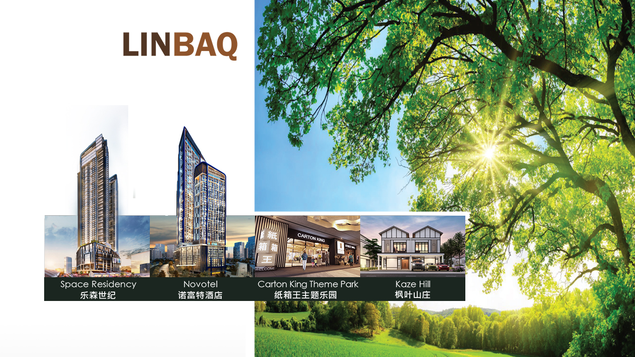 LINBAQ website cover